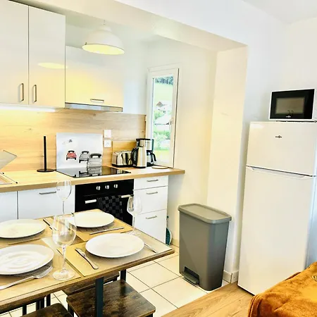 Apartment Le Golden Lake-5min Du A Pied-parking Prive Gratuit